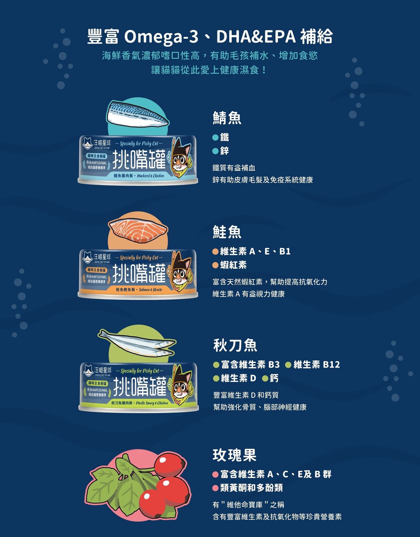 汪喵星球 - 挑嘴貓無膠主食罐 (鮭魚鰹魚餐) 80g