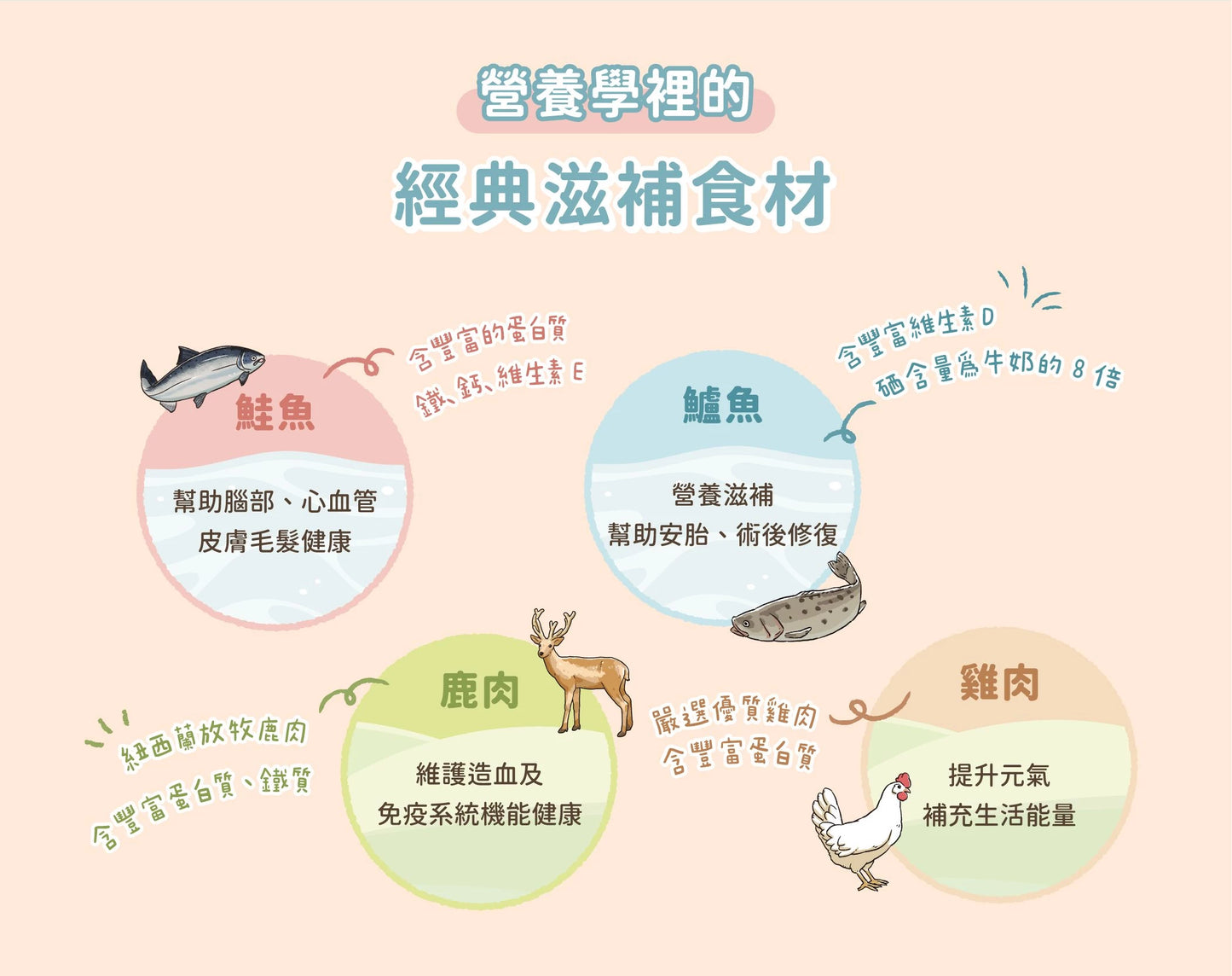汪喵星球 - 幼母貓專用營養無膠主食罐 (營養鮭魚) 80g