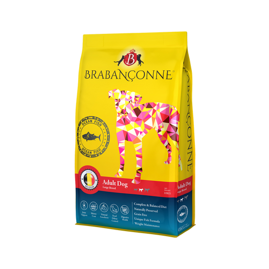【Brabanconne 爸媽寵】日常系列 大型成犬魚肉配方 10kg (大型成犬專用 比利時製造 五種海洋魚 護膚爆毛與關節防護)