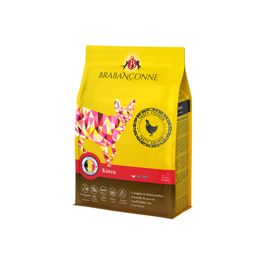【Brabanconne 爸媽寵】日常系列 幼貓鮮雞肉配方 2.5kg (幼貓/發育期專用 比利時製造 護心益智 增強免疫力)