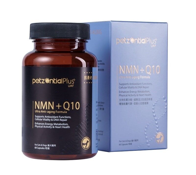 【Petzential Plus】必生優 NMN + Q10 抗衰老加強配方 (60粒裝 貓狗全齡適用 高純度逆齡複方)