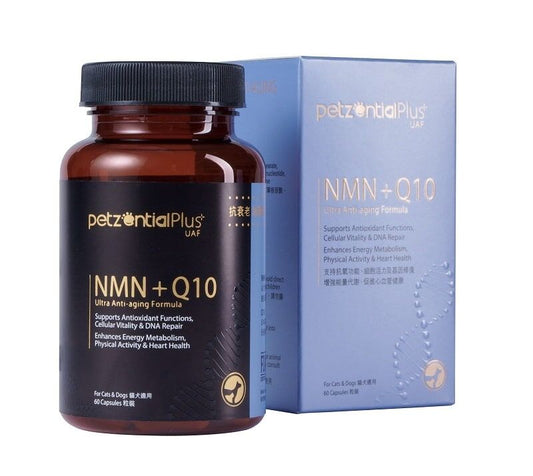 【Petzential Plus】必生優 NMN + Q10 抗衰老加強配方 (60粒裝 貓狗全齡適用 高純度逆齡複方)