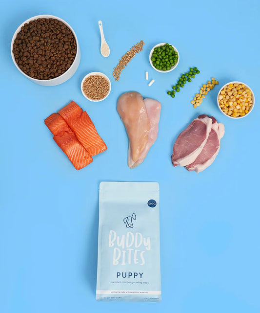 Buddy Bites 幼犬專用成長配方乾糧 雞肉+豬肉+三文魚美味三重奏 2Kg